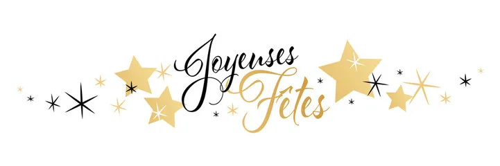 Bandeau de vœux « Joyeuses Fêtes » aux couleurs du club